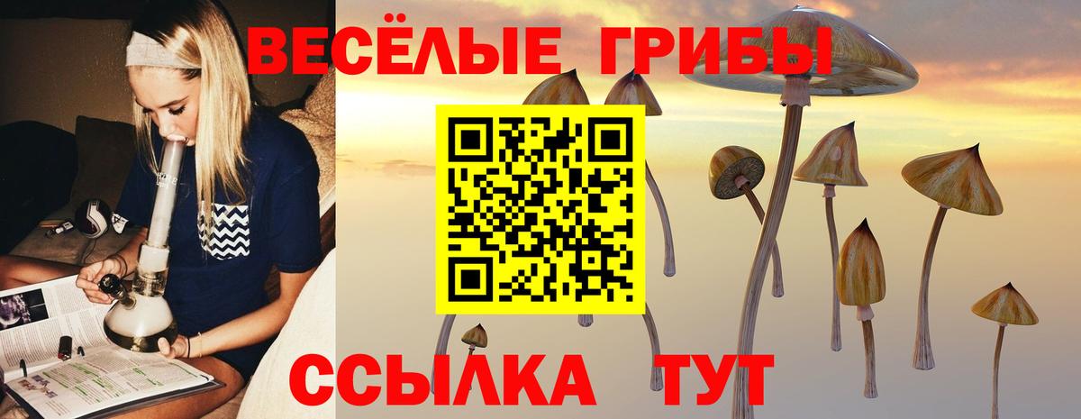 Галлюциногенные грибы Psilocybine cubensis  Псилоцибиновые грибы Psilocybe  Вход с VPN  Саяногорск 